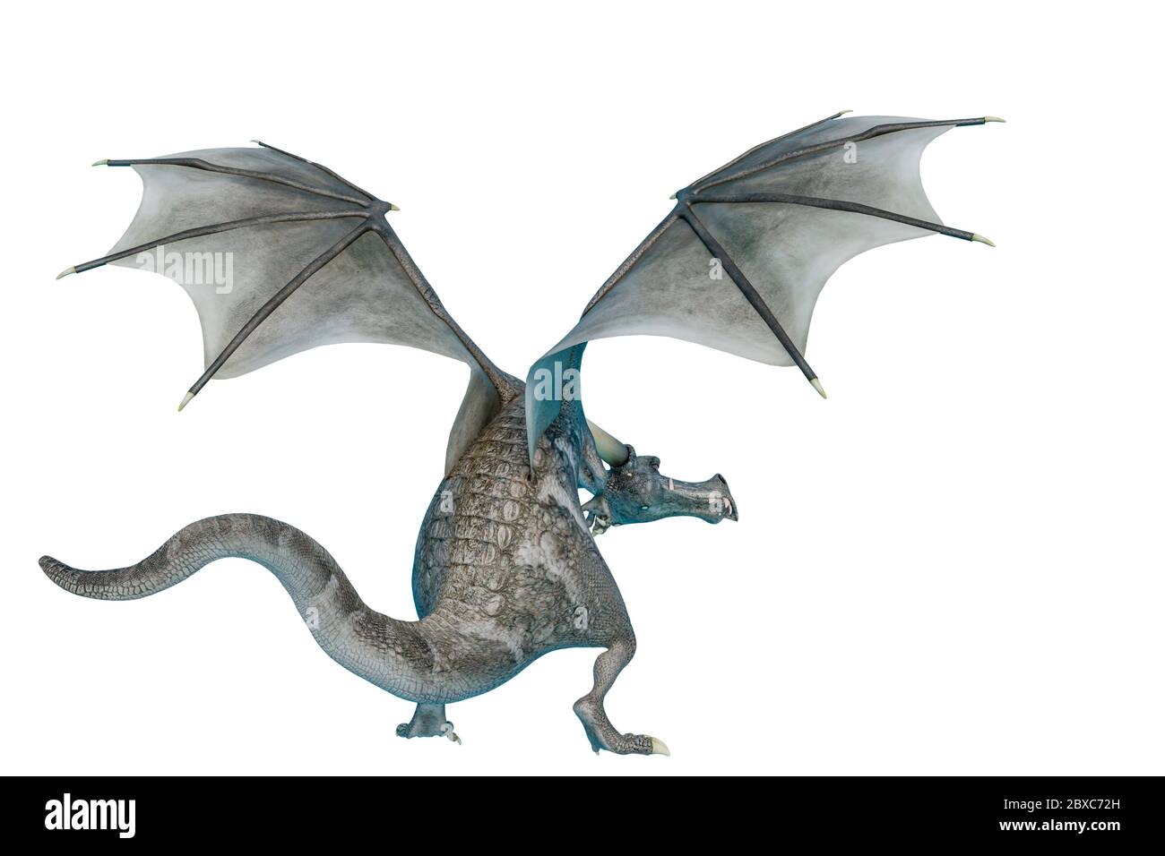Dragon Front View 3d