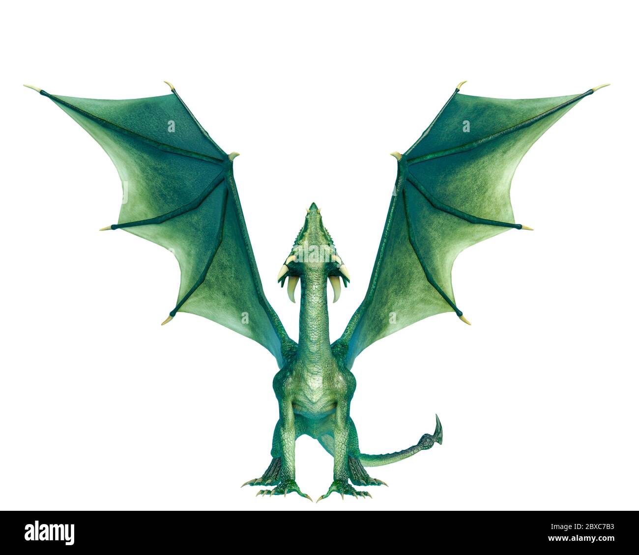 Dragon Front View 3d