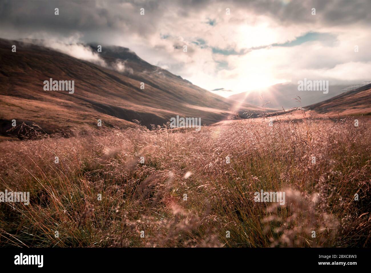 dry grass in foreground with beautiful cloud covered mountains in background at sunset in Iceland Stock Photo