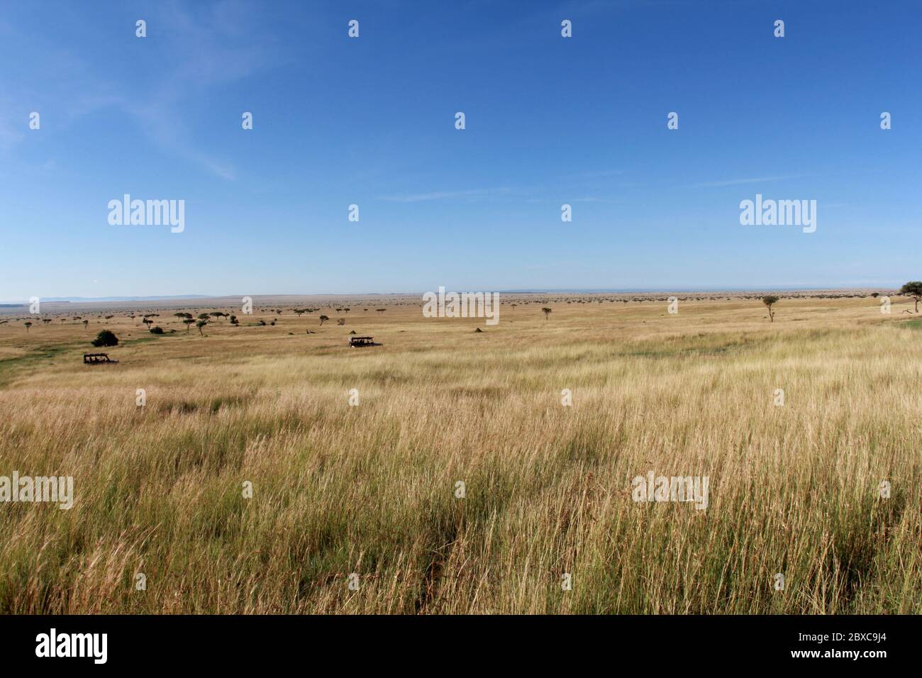Endless grasslands hires stock photography and images Alamy