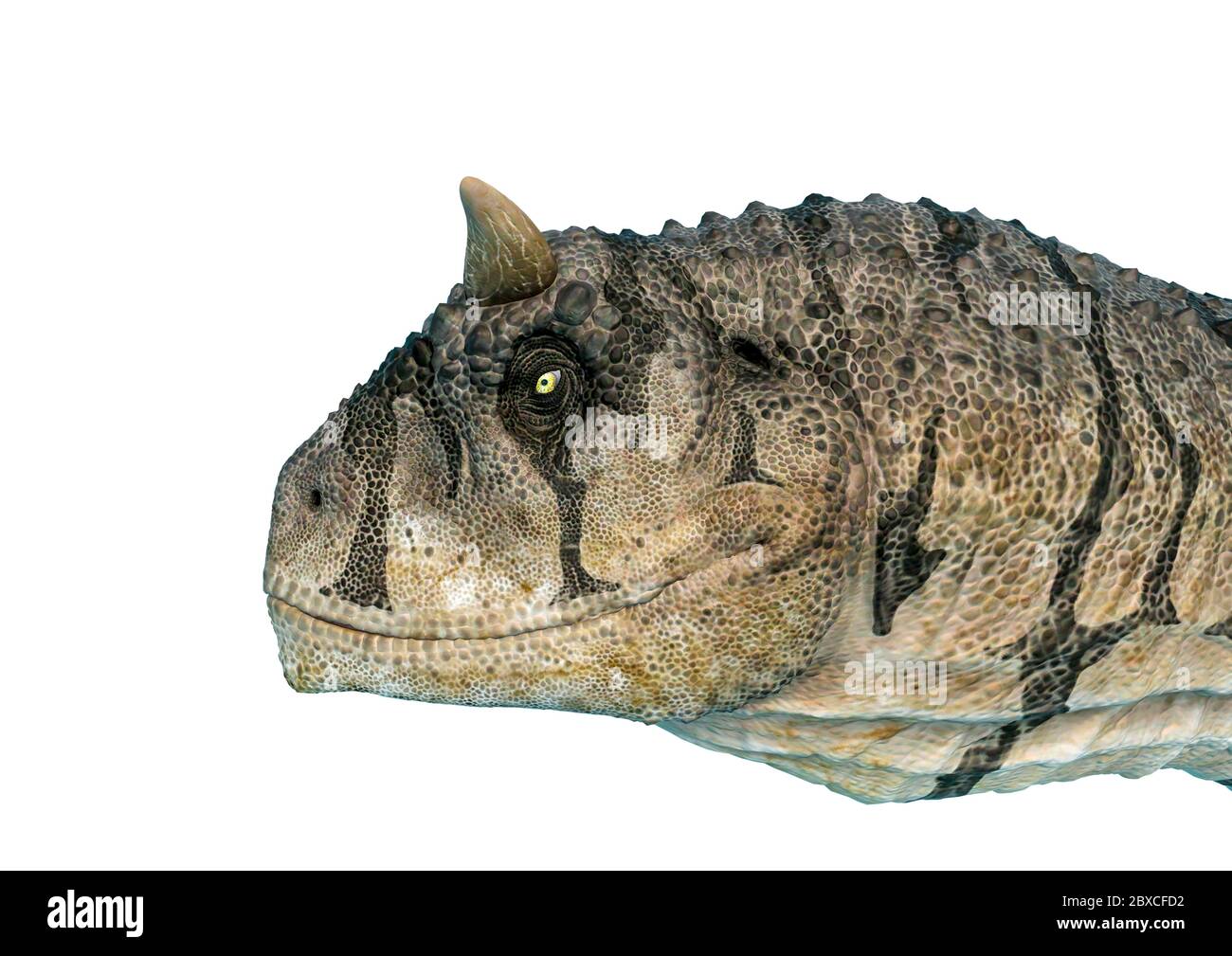 Large Carnivorous Bipedal Dinosaur High Resolution Stock Photography And Images Alamy