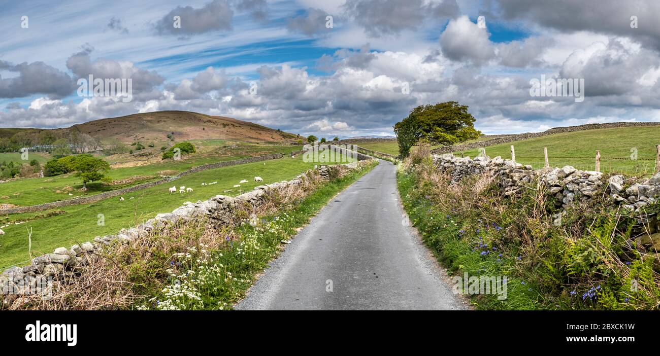 The back lane between Broughton Beck and Lowick on a fine spring day. Stock Photo