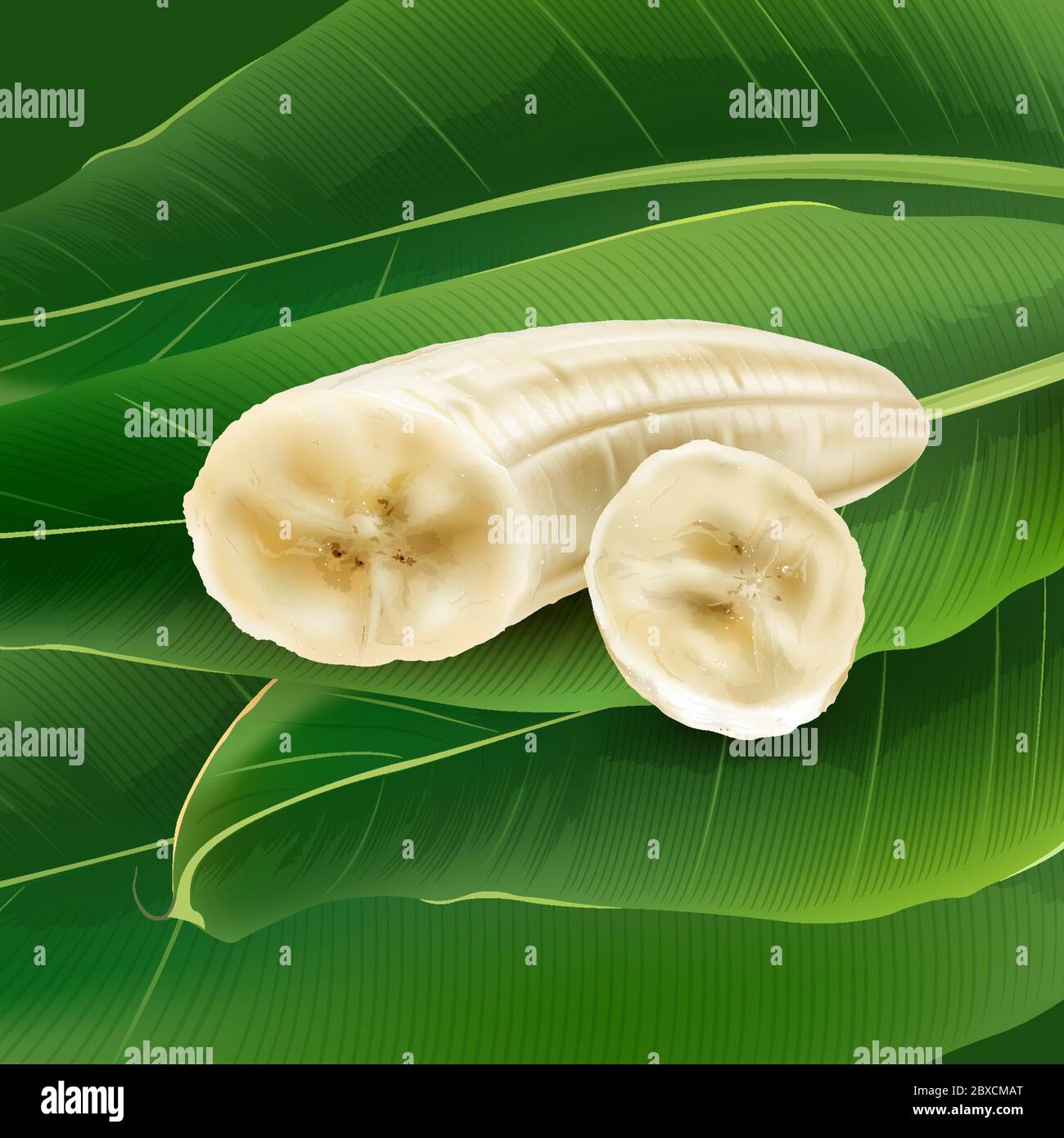 Banana slices on a background of green palm leaves. Stock Vector