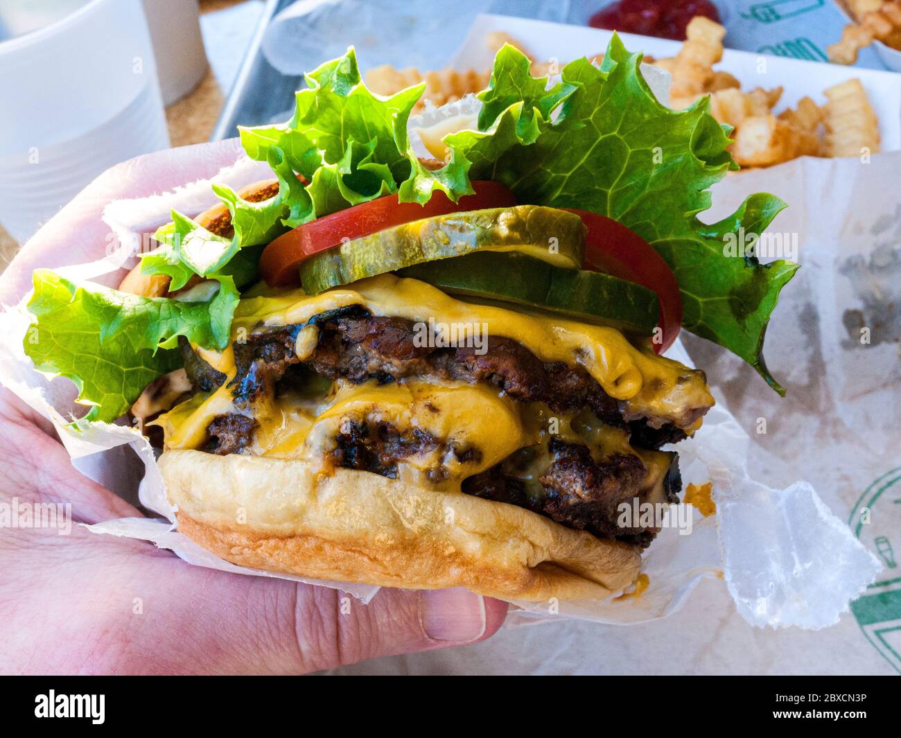 Hamburger Shake Shack Stock Photo