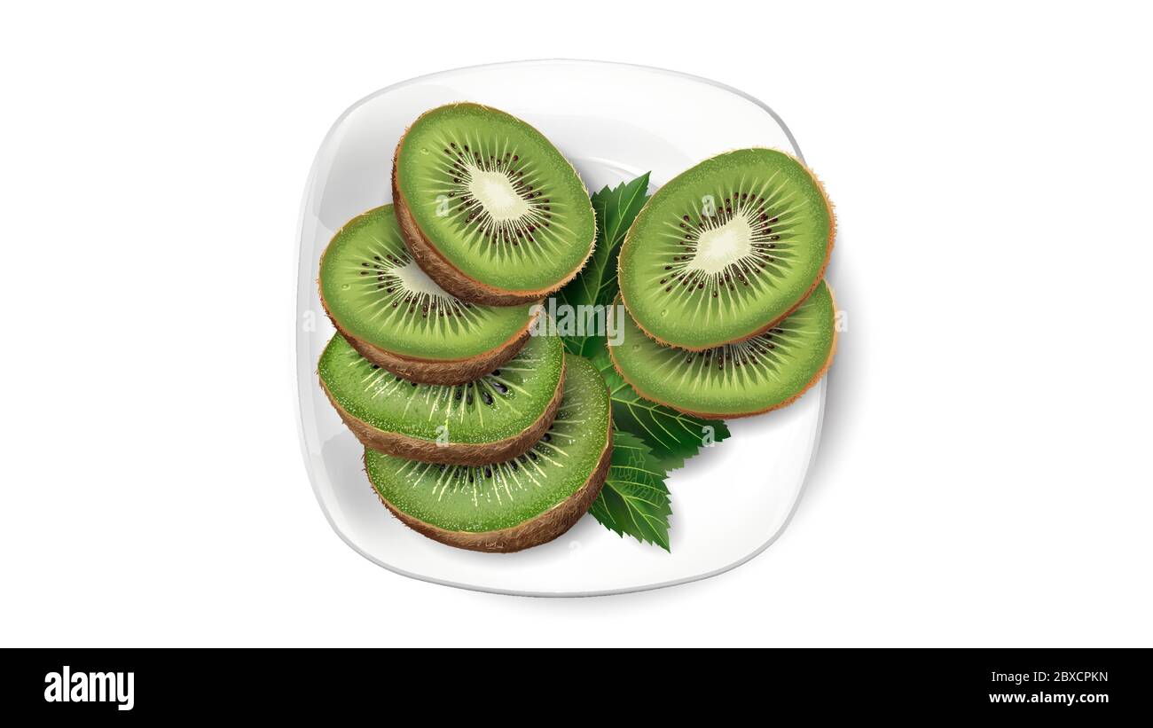 Kiwi slices and leaves on a white plate. Stock Vector