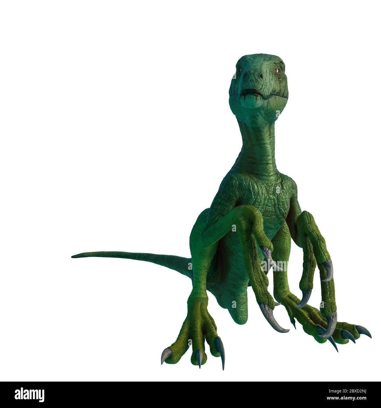 dakotaraptor sitting on white background Stock Photo - Alamy
