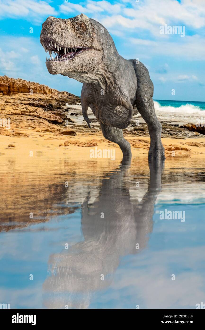 Tyrannosaurus on the water walking Stock Photo