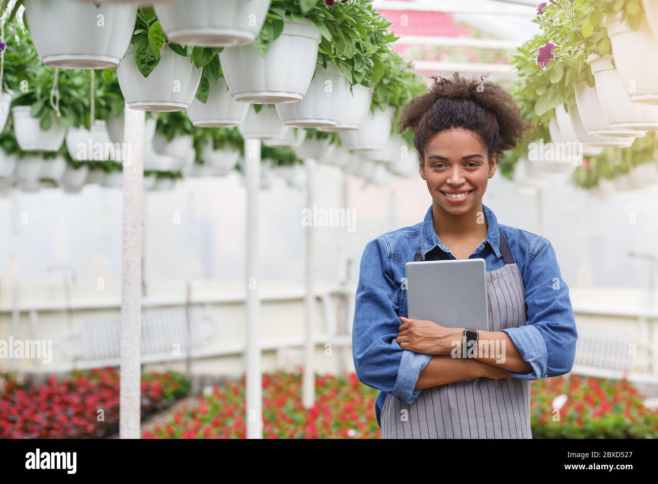 Data to study and develop farm to improved productivity. Girl farmer working Stock Photo