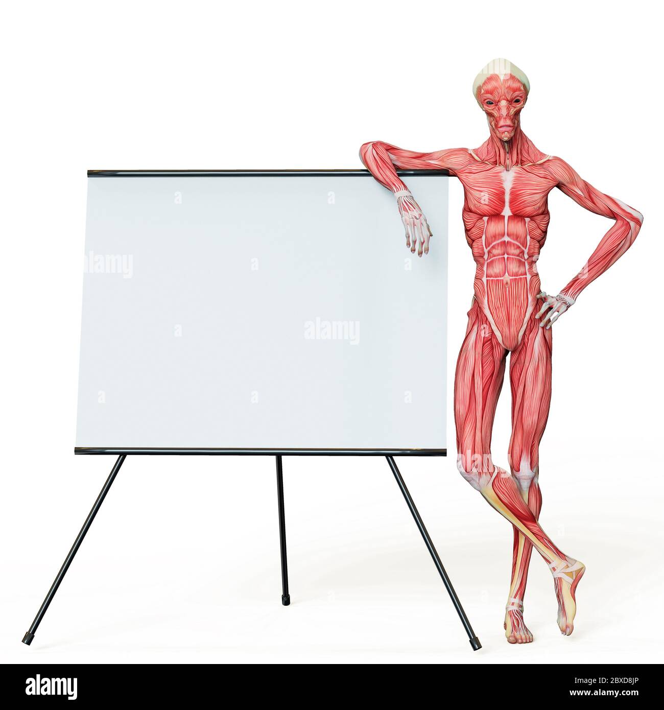 alien muscle maps on white background will put some live in yours ...