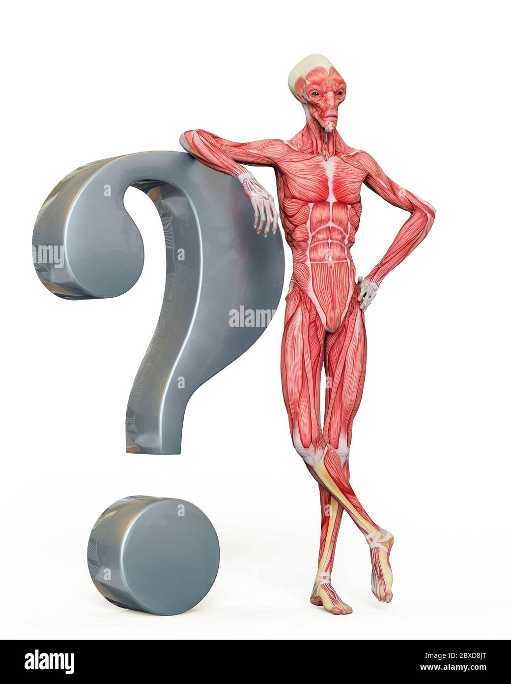 alien muscle maps on white background will put some live in yours ...