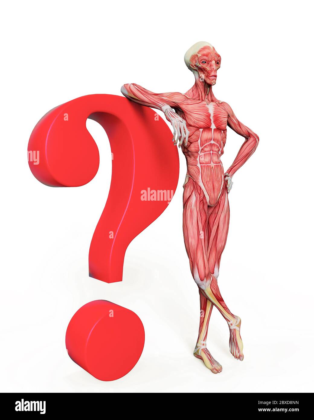 alien muscle maps on white background will put some live in yours ...