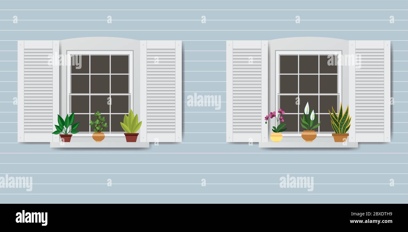 Wall,Windows and pots with flowers,flat vector illustration Stock Vector
