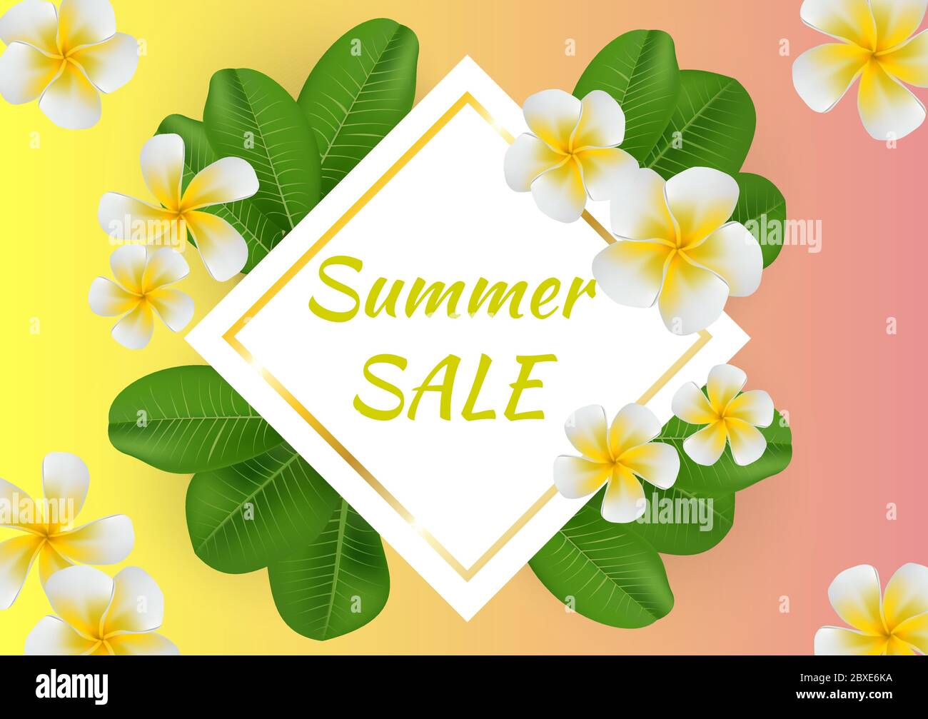 Bright, juicy summer background with tropical leaves and plumeria ...