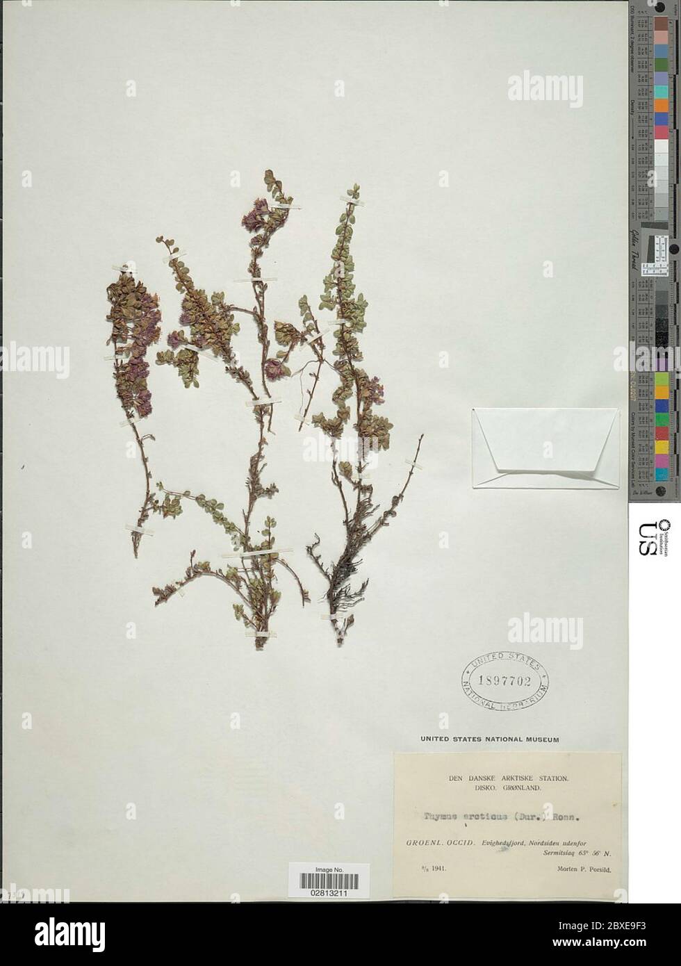 Ronniger hires stock photography and images Alamy