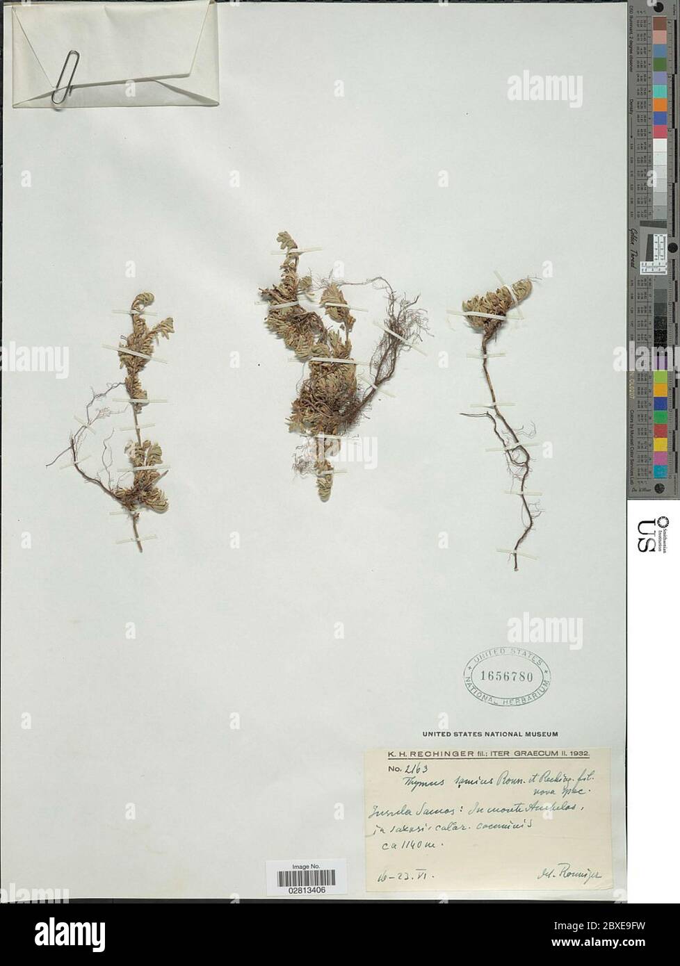 Ronniger hires stock photography and images Alamy