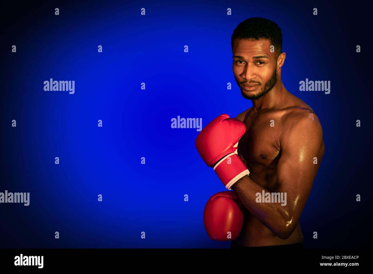 Professional Black Boxer Posing Wearing Gloves On Blue Studio