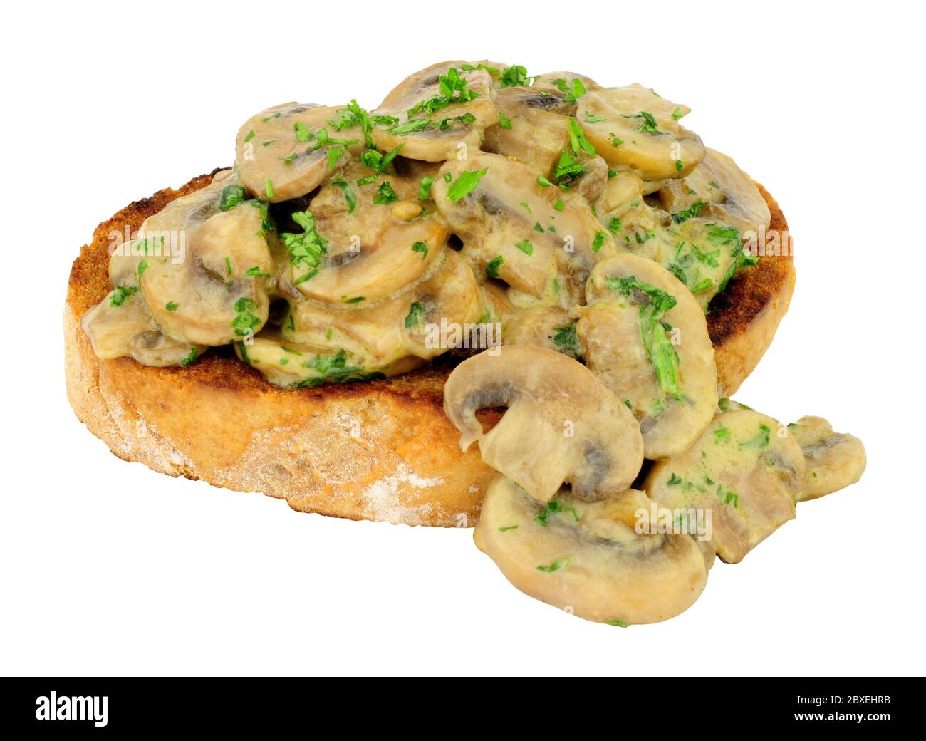 Creamy mushrooms on toast isolated on a white background Stock Photo