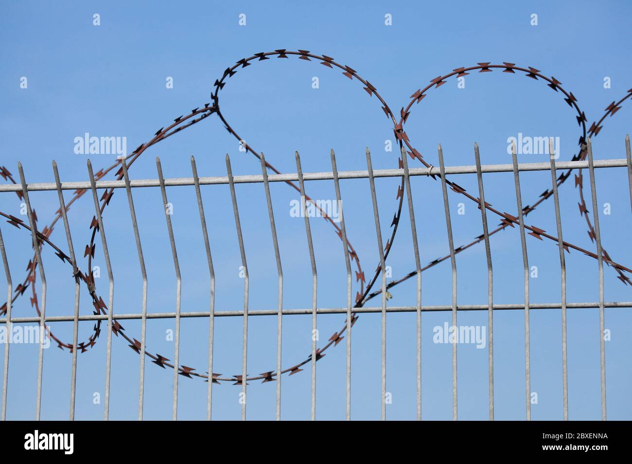 Barbed wire with metal fence, blue sky Stock Photo - Alamy