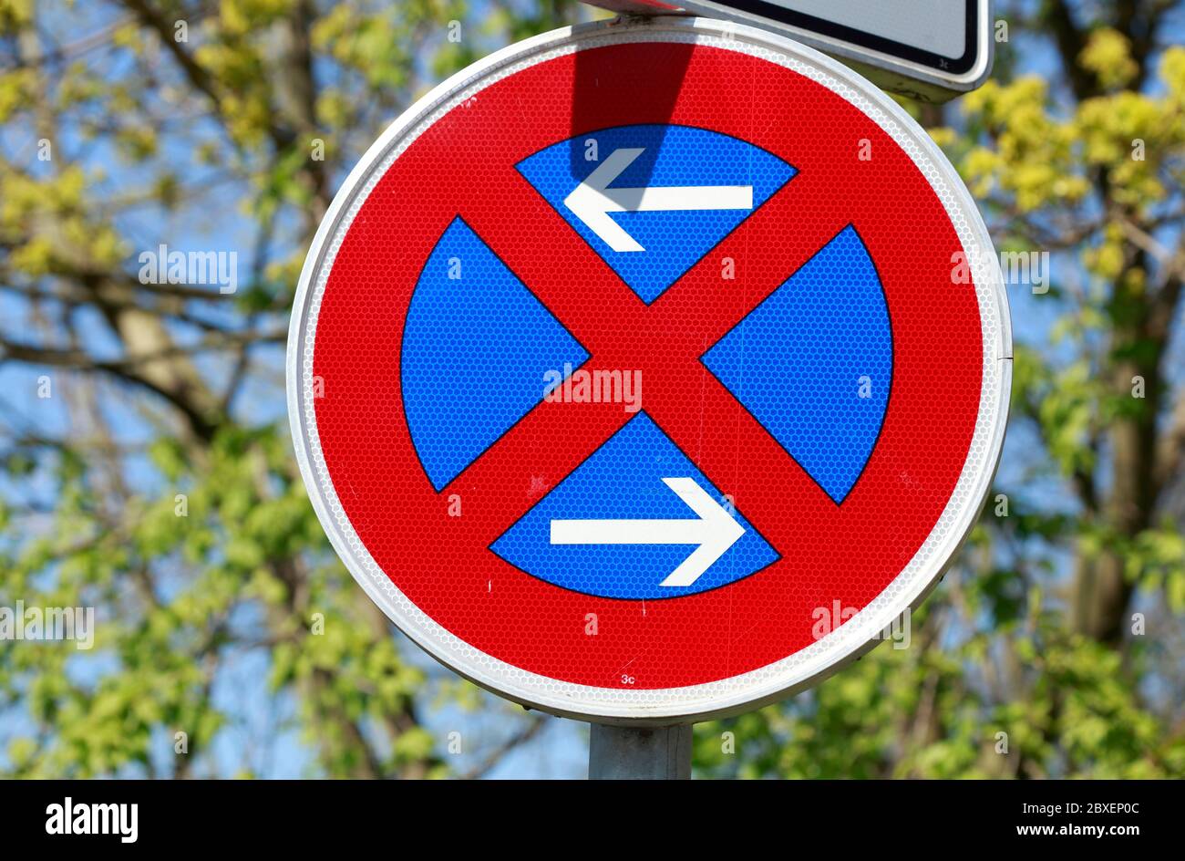 Traffic sign no stopping sign, no stopping, plants, blue sky, Germany, Europe Stock Photo Alamy