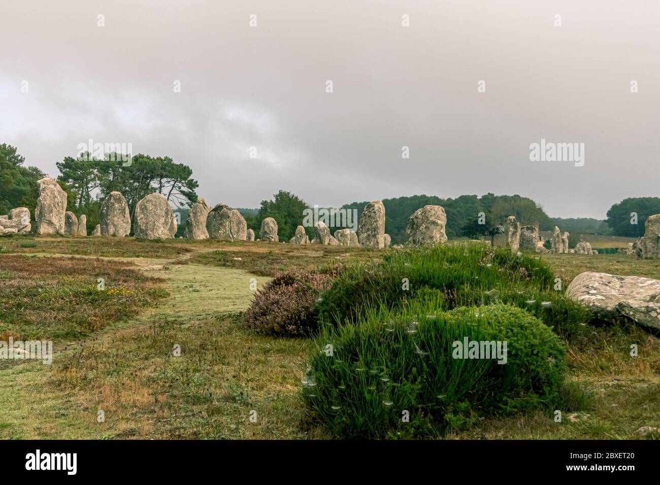 Alignments of Carnac, Menhir de Carnac in the Brittany region. France. Stock Photo