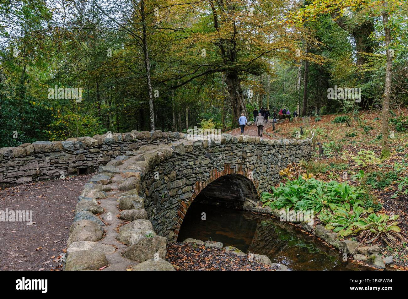 Visitors on the Lingholm Estate near Kewsick, Cumbria, England walking on a path over a stone bridge and through deciduous woodland. Stock Photo