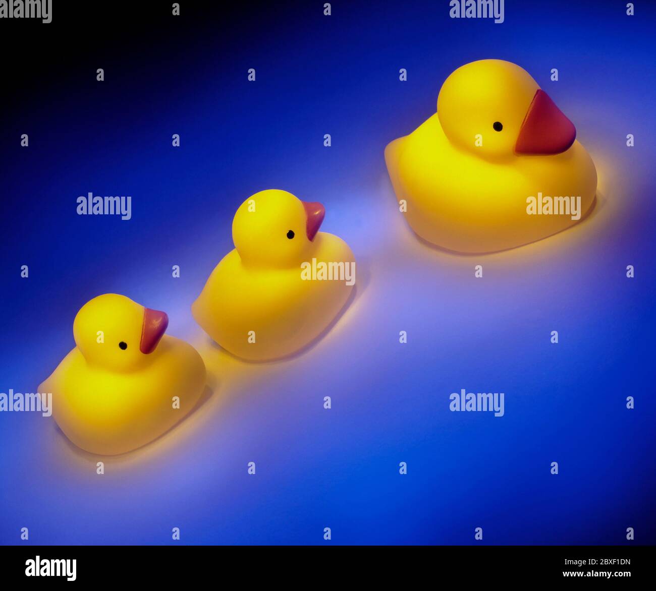Three rubber ducks in a row. Stock Photo