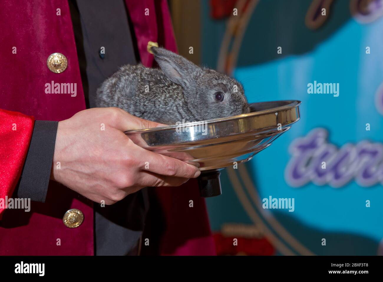 Hare lovely hi-res stock photography and images - Alamy