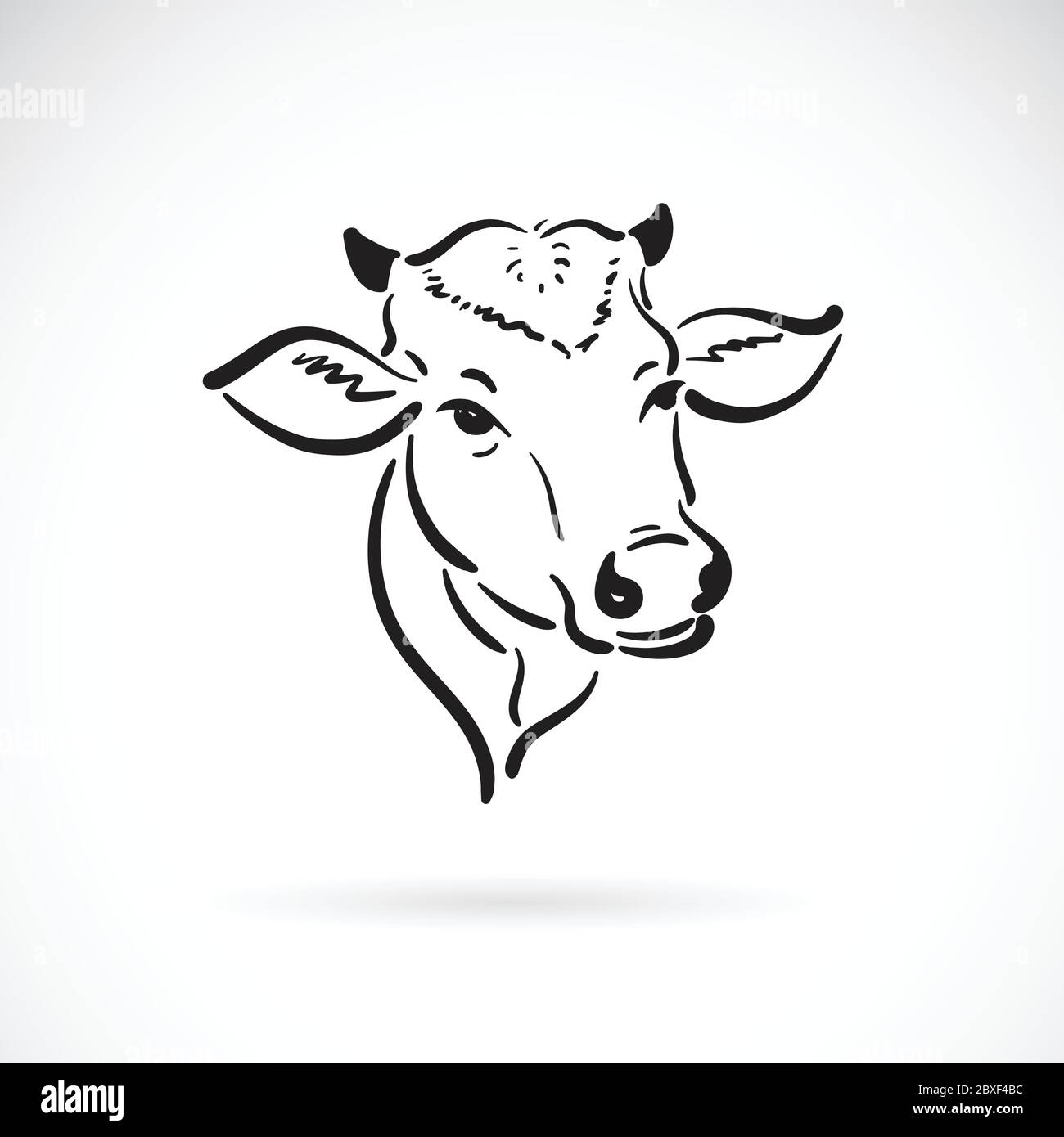 Vector of a cow head design on white background. Farm Animal. Cows logos or icons. Easy editable layered vector illustration. Stock Vector