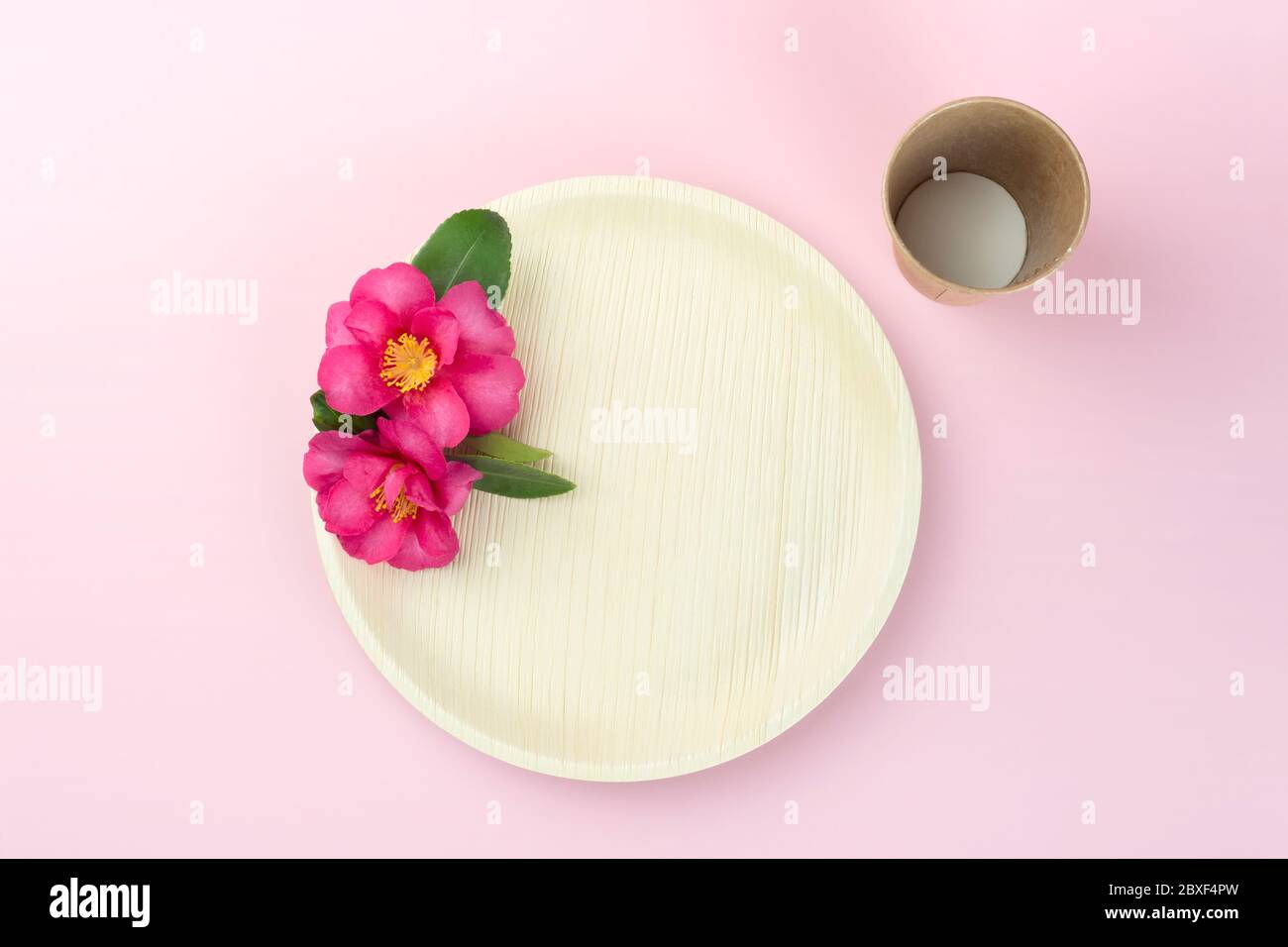 Natural disposable plate with pink tropical flower Stock Photo
