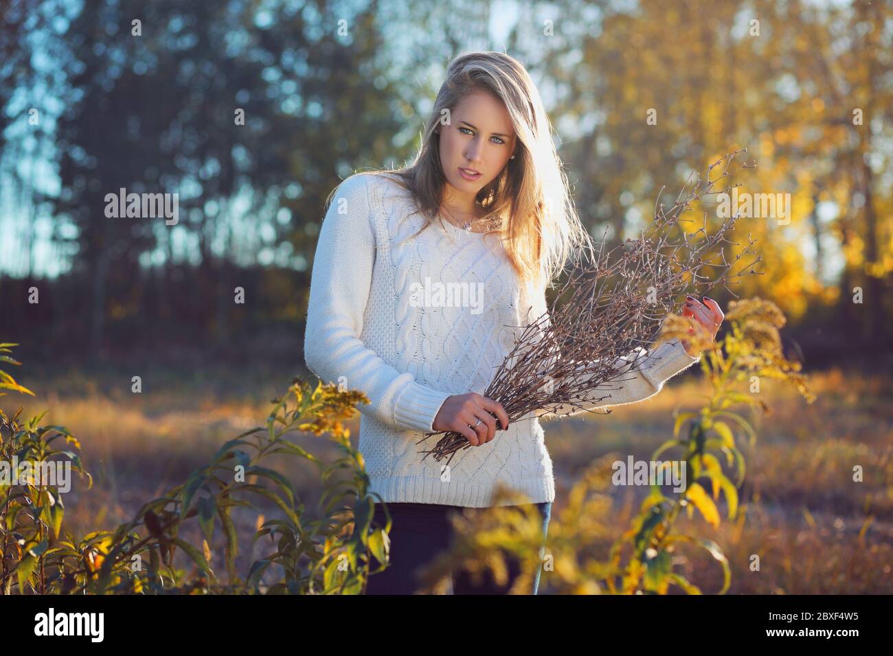 Beautiful young woman posing in a field . Autumn sunset colors Stock ...