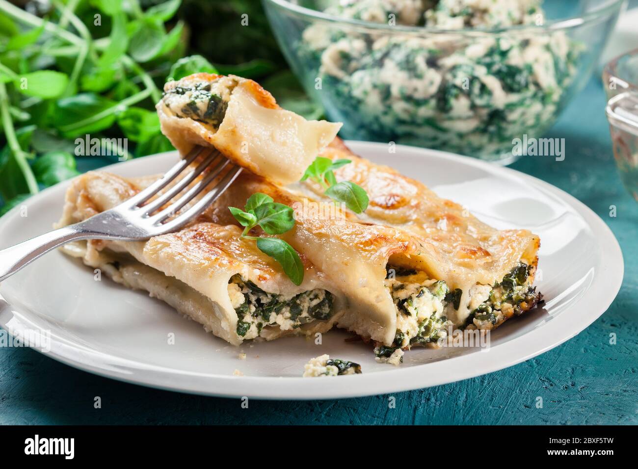Portion of cannelloni stuffed with spinach and ricotta. Italian cuisine Stock Photo