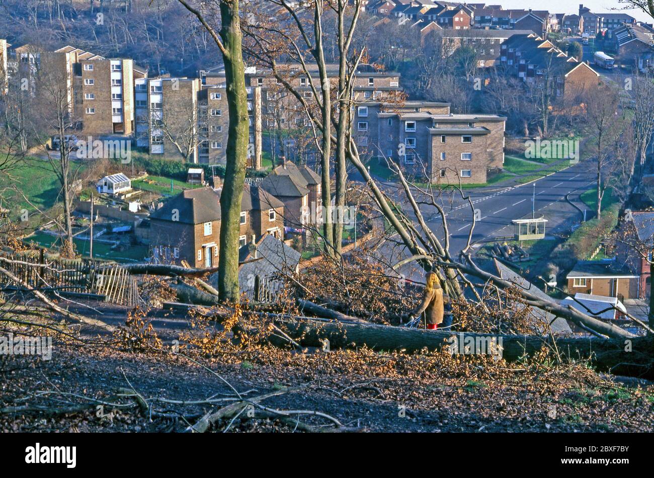 The aftermath of 'The Great Storm' in Brighton, East Sussex, England, UK – it occurred on the night of 15/16 October 1987. A woman with two children is walking amongst the fallen trees of Hollingbury Park and Woods. In the background more felled trees are visible along the rise of Brentwood Road and on the hillside (rear left). 'The Great Storm' of 1987 was a violent tropical cyclone, with hurricane-force winds causing casualties and great damage in the UK and France. Stock Photo