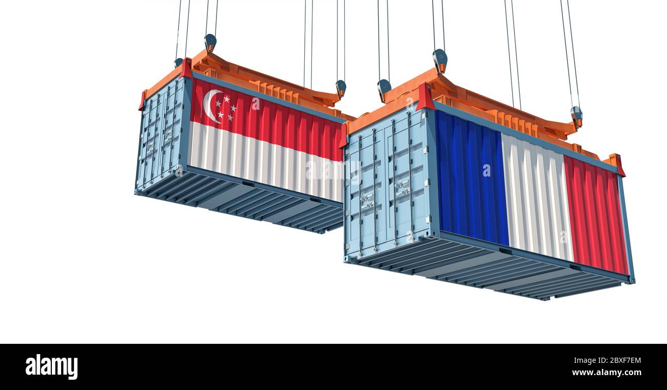 Shipping containers with Singapore and France flag. 3D Rendering Stock