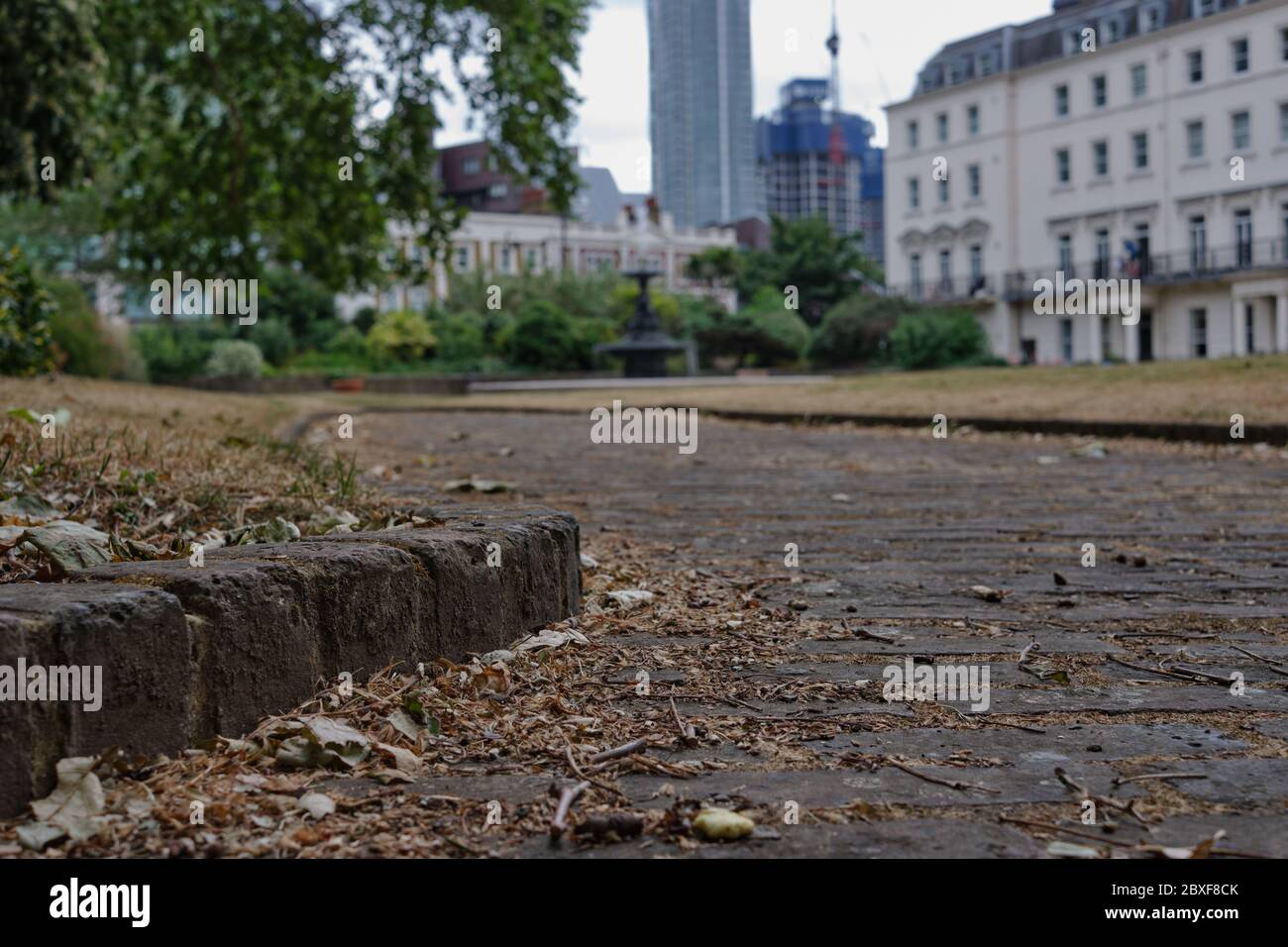 Empty park during Coronavirus lockdown from low point of view on a grey overcast day Stock Photo