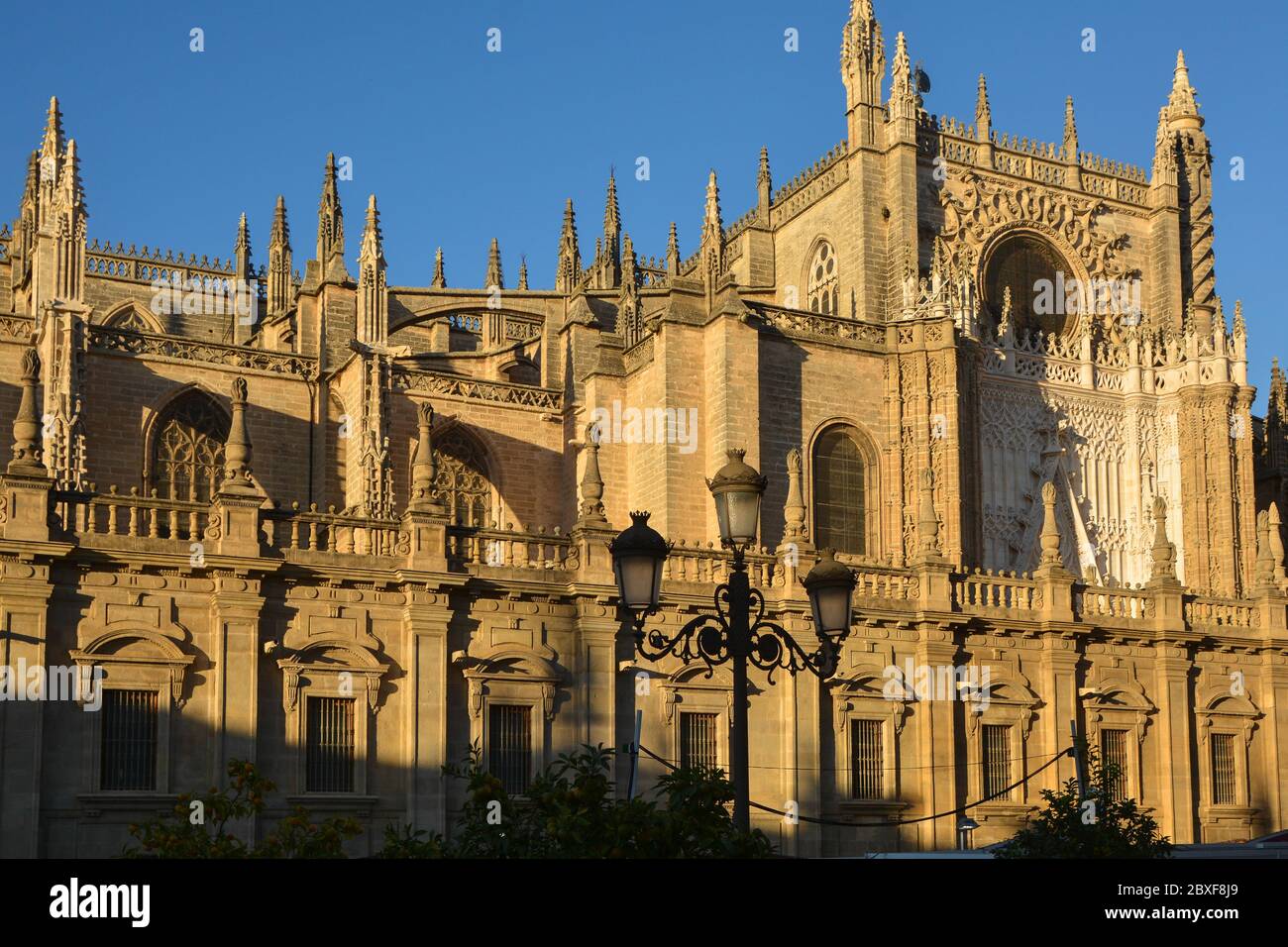 seville-cathedral-the-largest-gothic-cathedral-in-europe-stock-photo