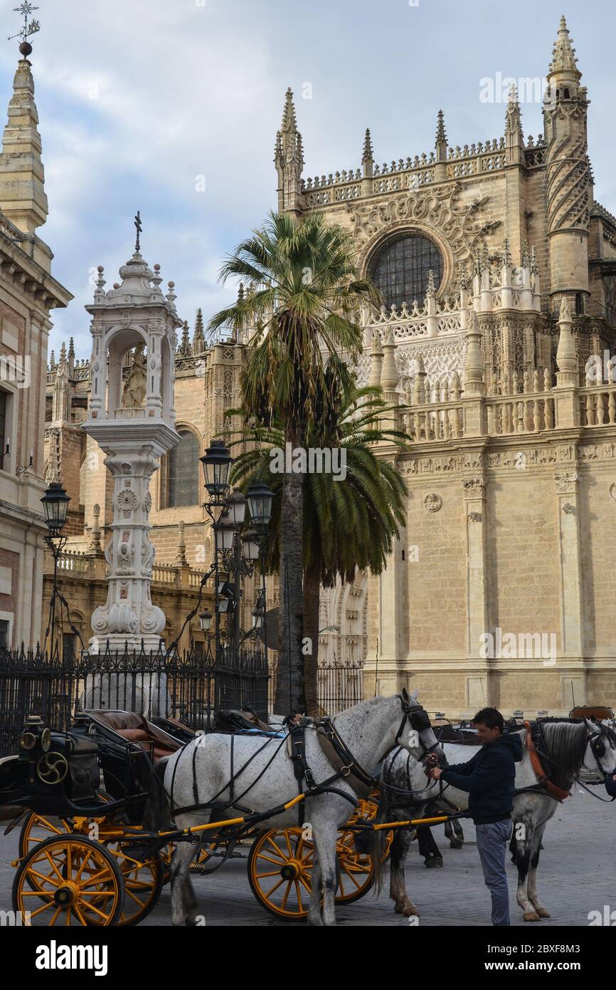 seville-cathedral-the-largest-gothic-cathedral-in-europe-stock-photo