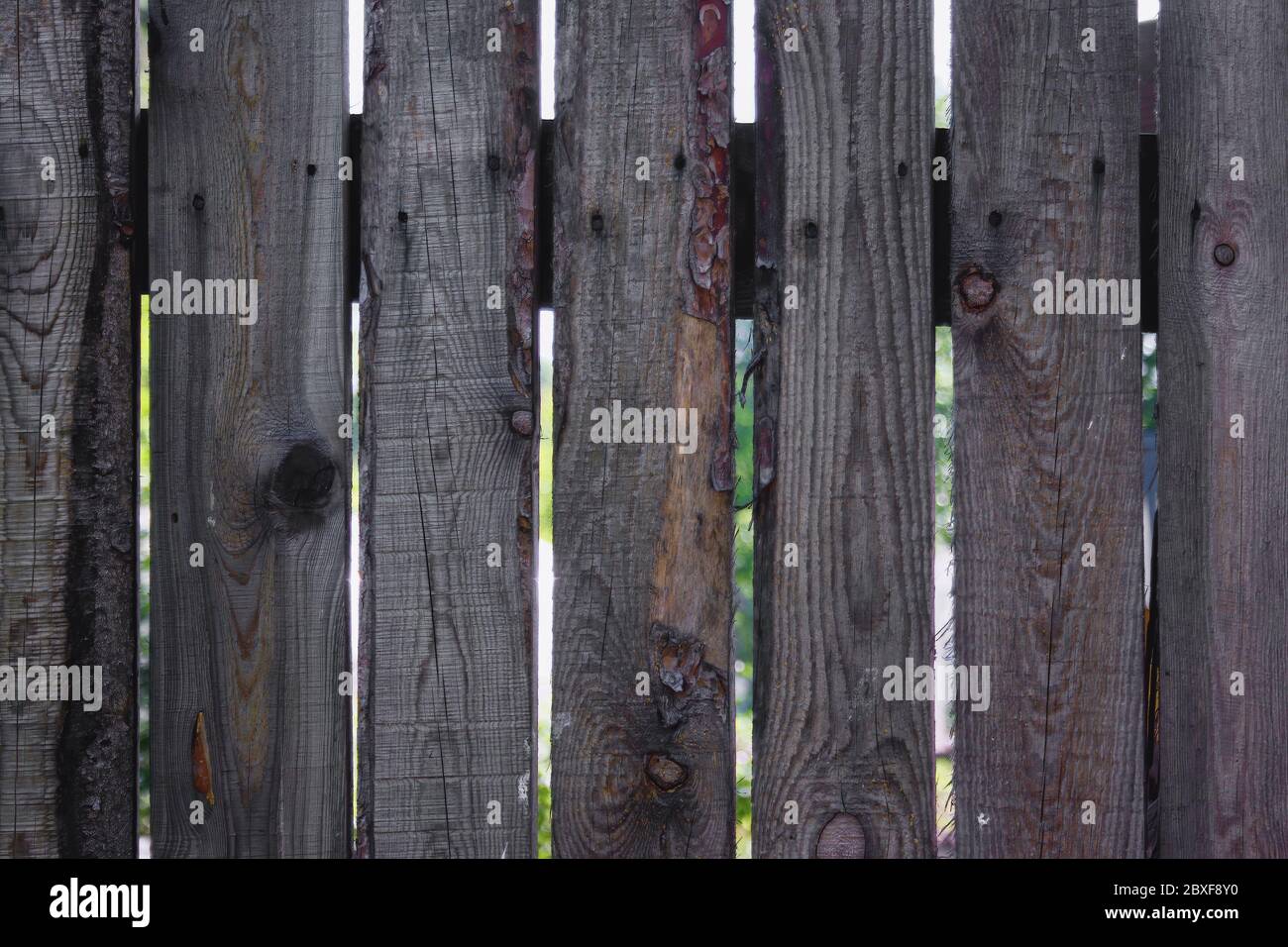 The texture of the boards of an old wooden fence closeup. Close up of ...