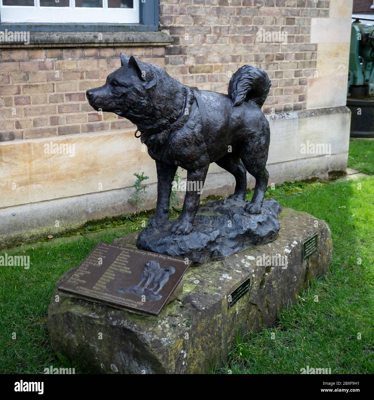 CAMBRIDGE, UK - MARCH 11. 2020:  The Sledge Dog Memorial (sculptor David Cemmick) at the Polar Museum  at the Scott Polar Research Institute Stock Photo