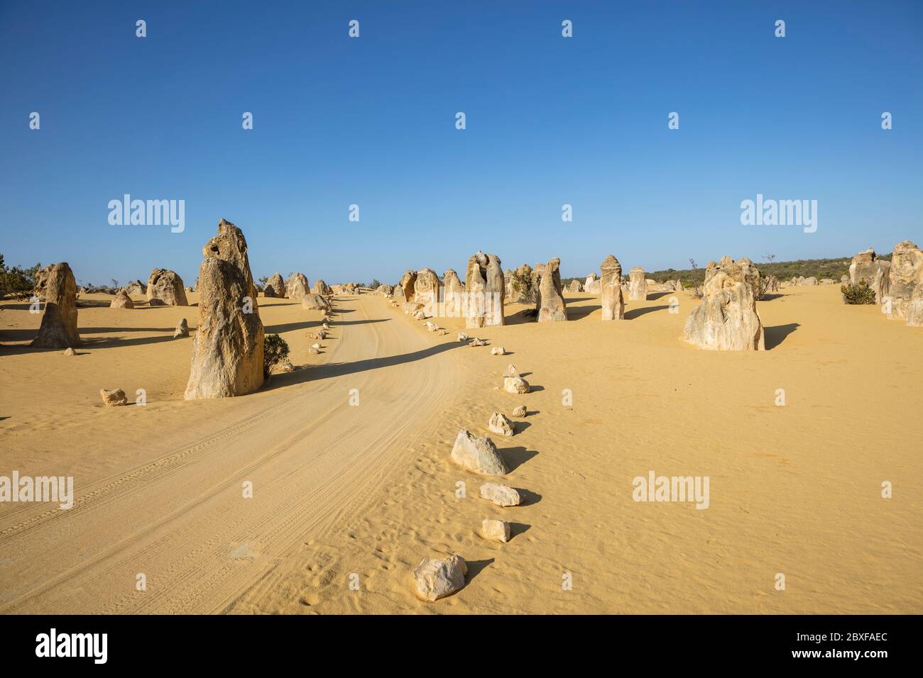 Limestone rock formations, also known as pinnacles, next to the path within the Nambung national park in Western Australia Stock Photo