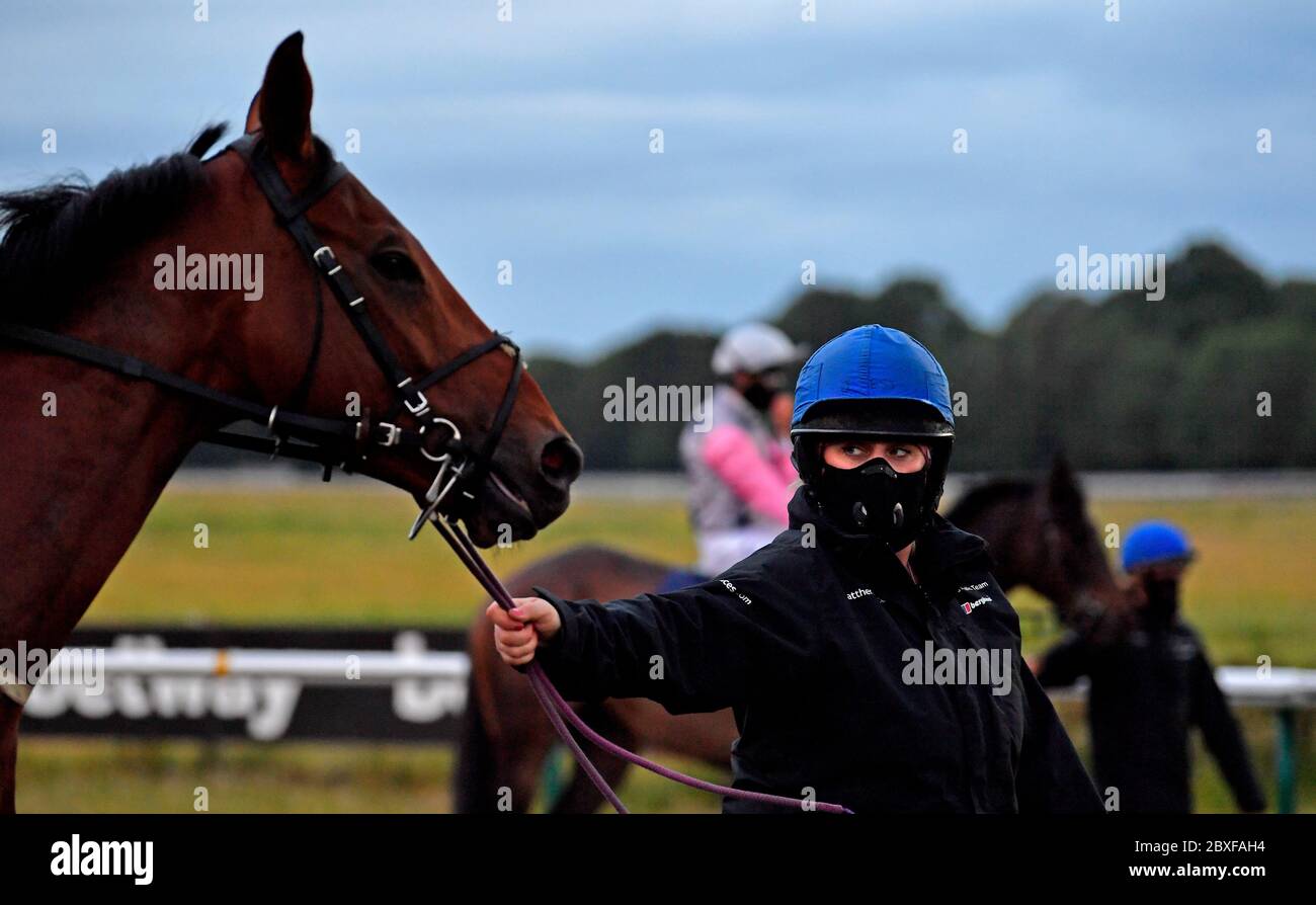 Masked stalls handler loads a horse before the Betway Live Casino Handicap at Lingfield Racecourse. Stock Photo