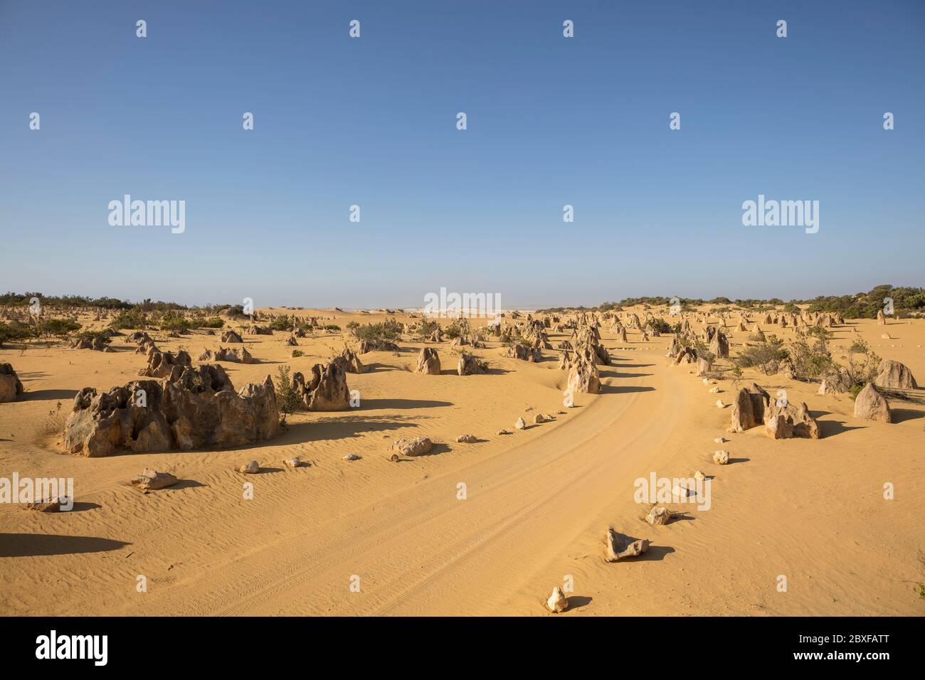 Limestone rock formations, also known as pinnacles, next to the path ...