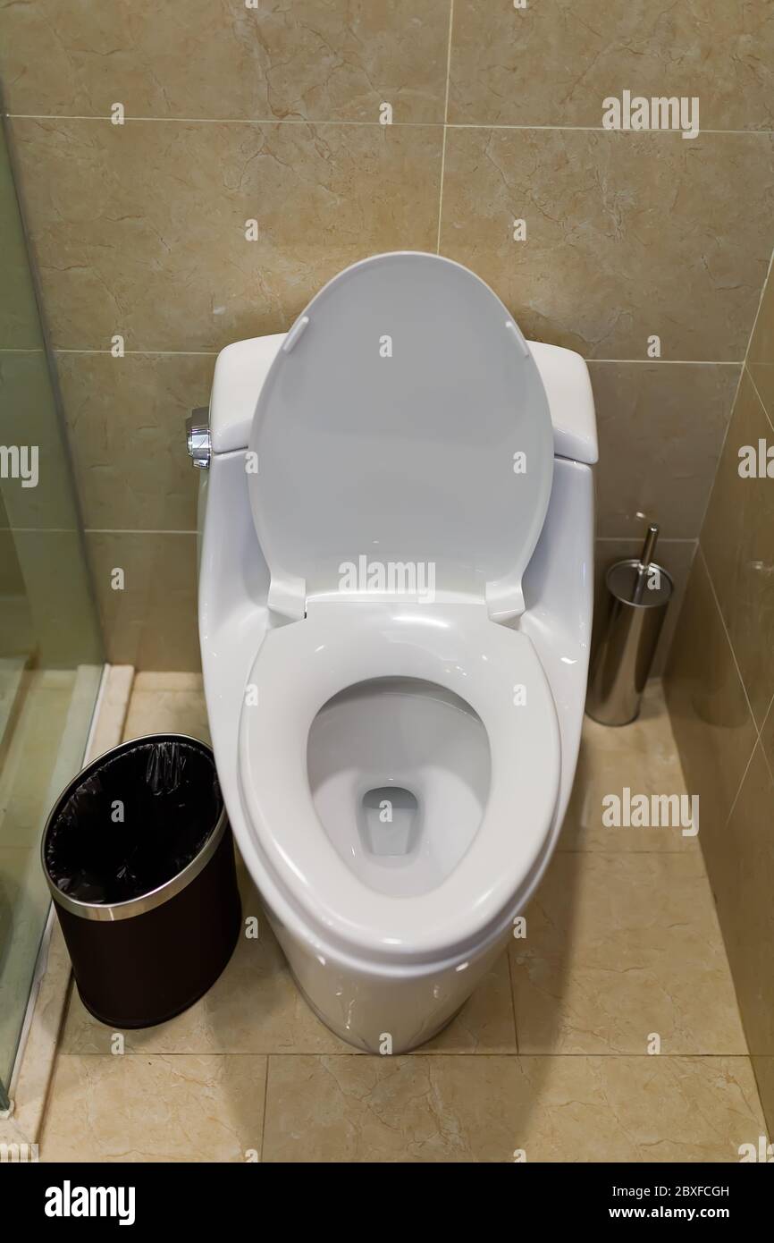 Toilet design with builtin toilet. Builtin toilet is made as an installation, all the elements