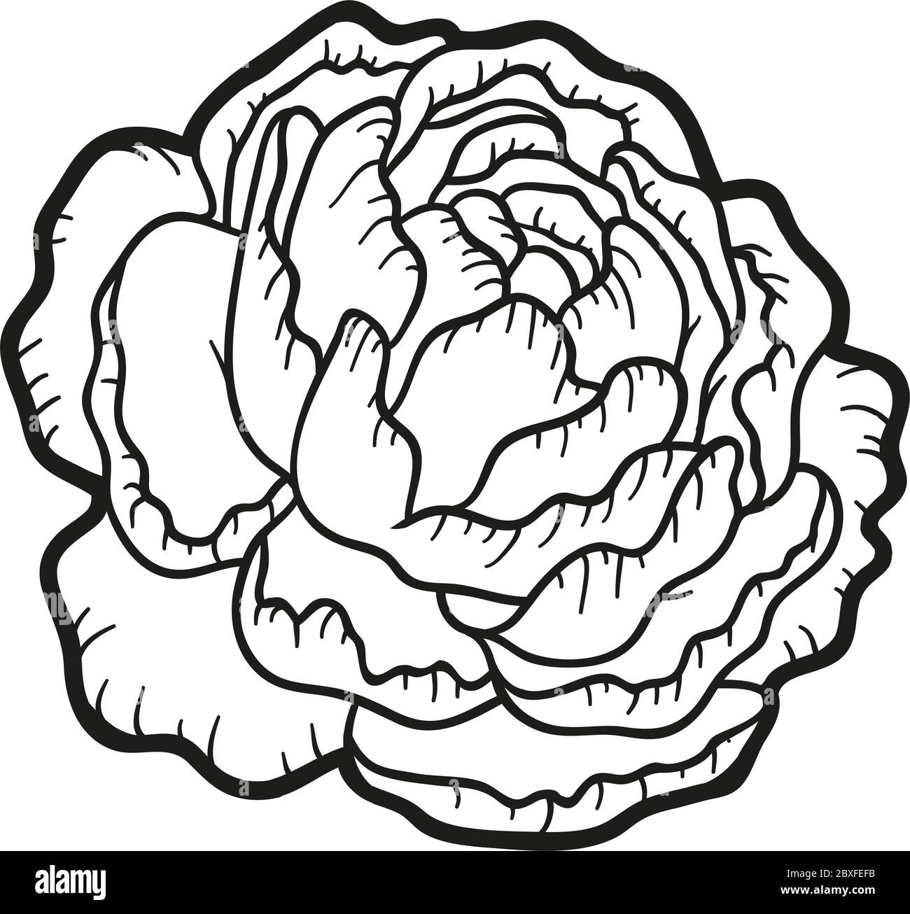 Coloring book for children, flower Peony Stock Vector Image & Art - Alamy