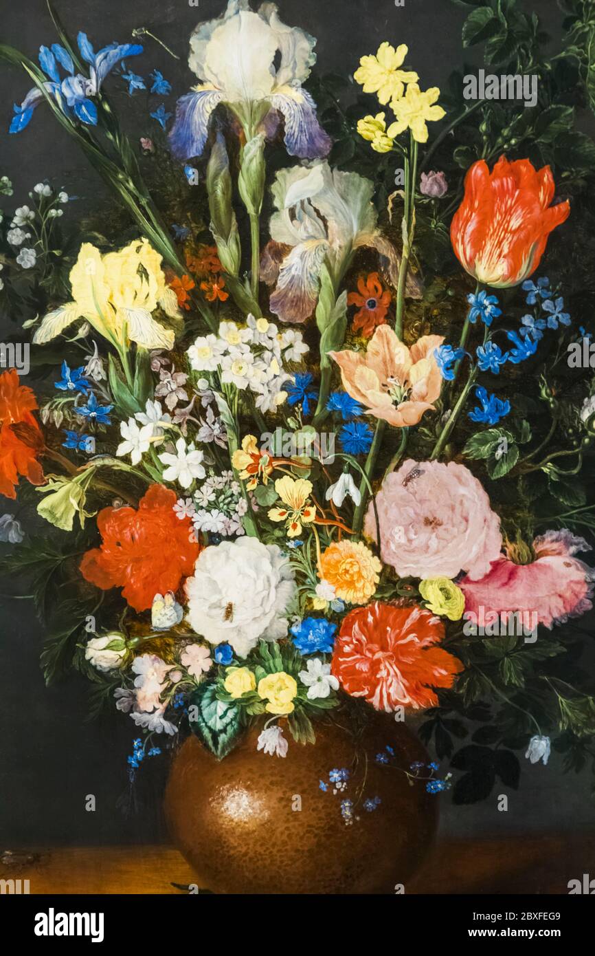 Flower Still Life Painting titled "Bouquet in a Clay Vase" by Jan Brueghel  the Elder dated 1609 Stock Photo - Alamy