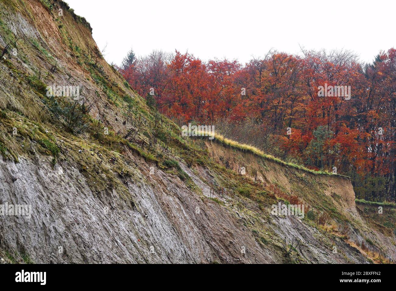 Steep bank, Brodtener shore, at the Timmendorfer beach, Luebeck, Germany Stock Photo