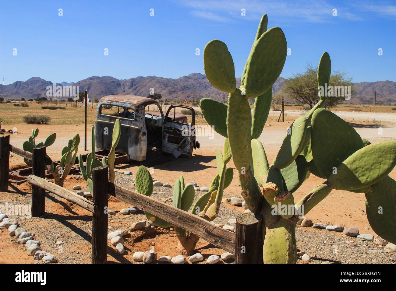 Abandoned old rusty cars in the desert of Namibia and a plump white ...