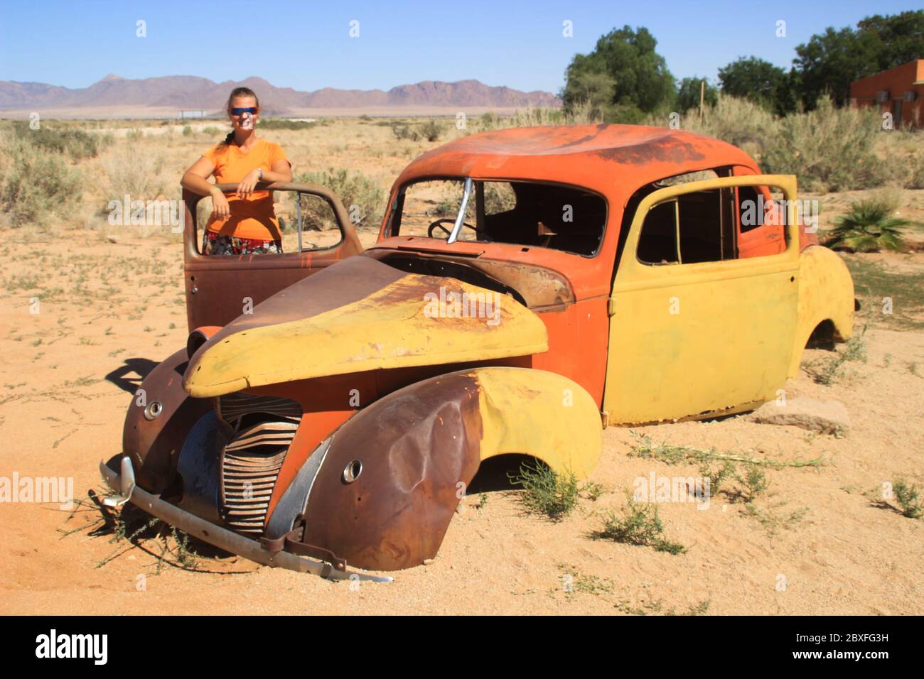 Abandoned old rusty cars in the desert of Namibia and a plump white ...