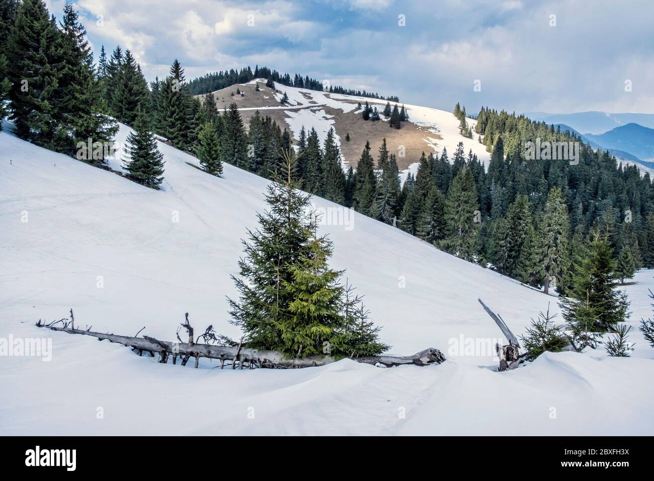 Big Fatra mountains, Slovak republic. Seasonal natural scene. Hiking theme. Stock Photo
