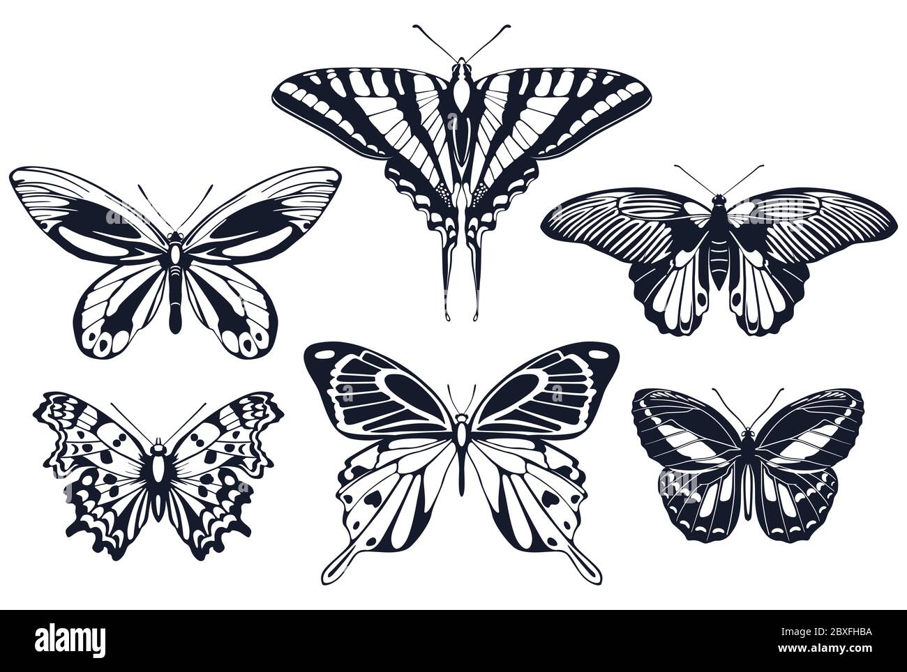 Set of butterflies icons with patterns on the wings. Vector