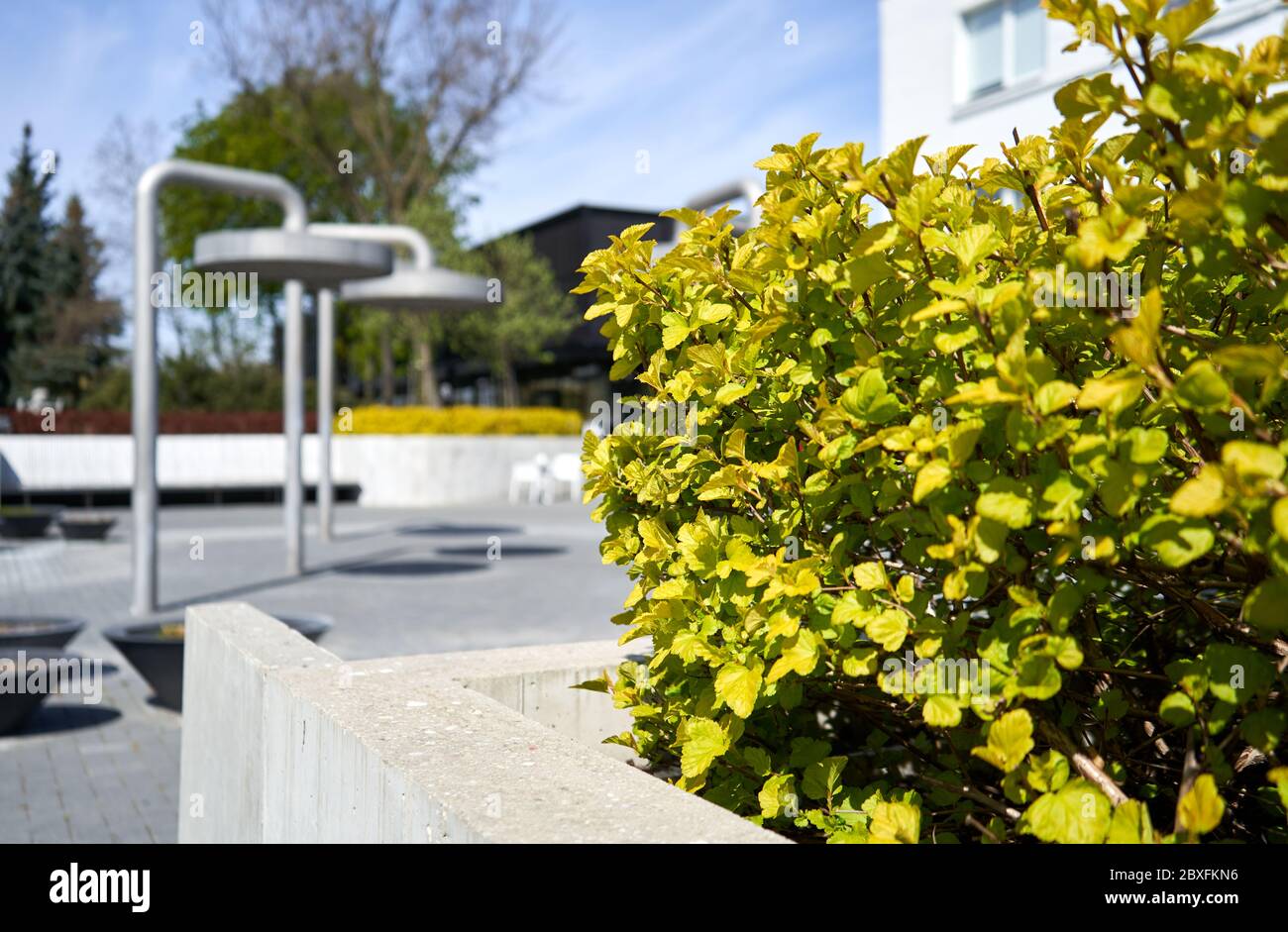Bushes and fountain like a shower in the park Stock Photo